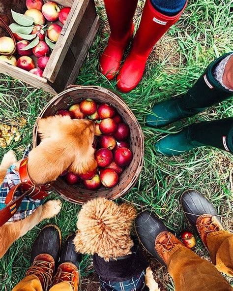 Fall Vibes Image By Shelby Oneal On Fall My Favorite Season Fall