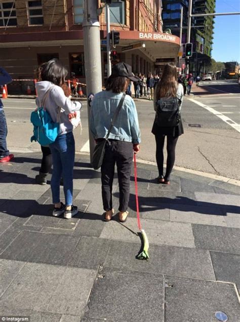 Woman Pictured Strolling Around Sydney With A Leek On A Leash Daily Mail Online