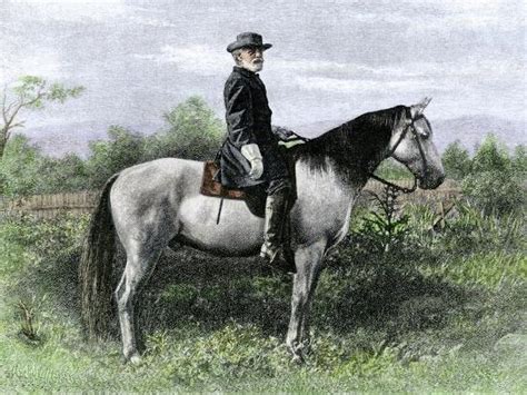 Confederate General Robert E Lee On His Favorite War Horse Traveler