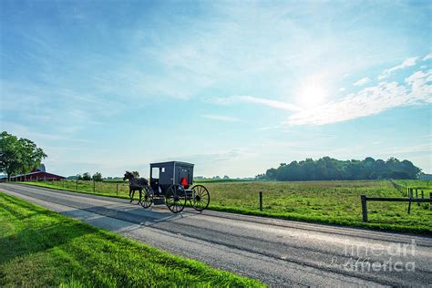 Horse And Buggy Early Morning Photograph By David Arment Fine Art America