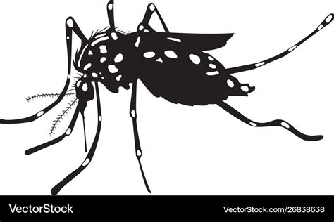 Aedes Aegypt Mosquito Royalty Free Vector Image