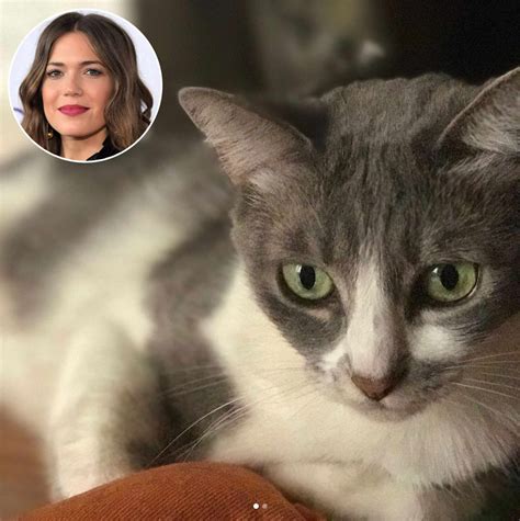 Mandy Moore Needs Fans Help After Brothers Cat Goes Missing