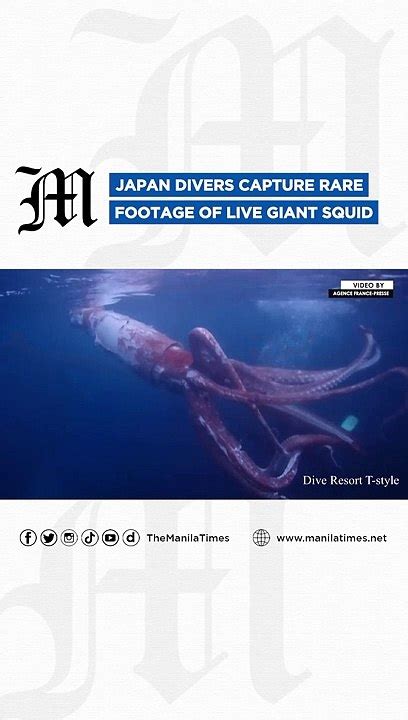Japan Divers Capture Rare Footage Of Live Giant Squid Video Dailymotion