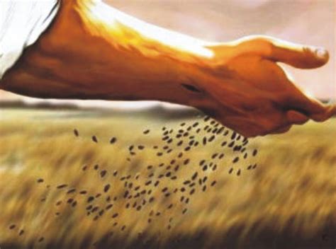 Mythical Jesus 021 The Sower And The Seed Christ Of Faithchrist Of