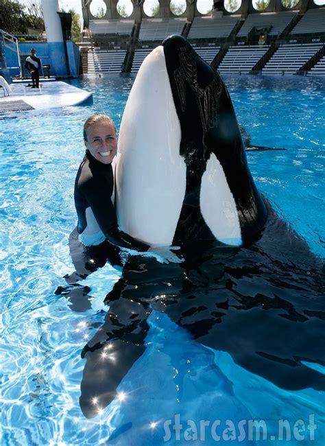 Sea World Trainer Dawn Brancheau Killed By Orca Tilikum