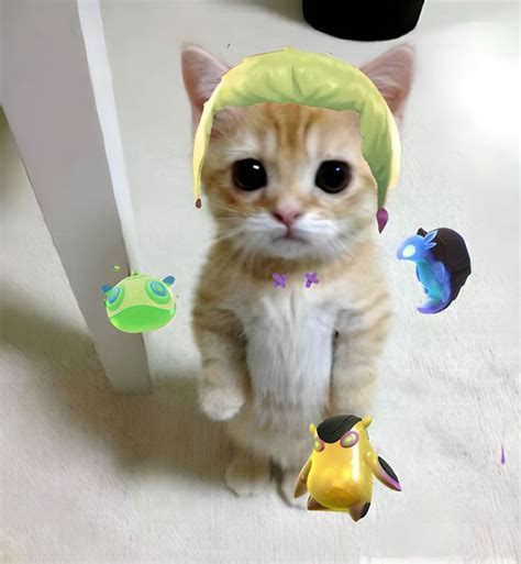Valorant Gekko Pfp Cat в 2023 г Геометрические фигуры Мемы