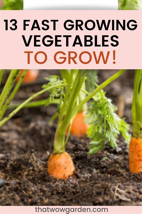 13 Fastest Growing Vegetables You Can Harvest In No Time