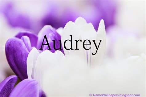 Audrey Name Wallpapers Audrey ~ Name Wallpaper Urdu Name Meaning Name