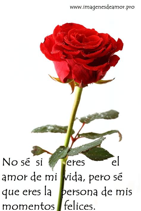 Poemas De Rosas ~ Imágenes De 10