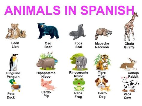Animals That Start With P In Spanish Inside Came