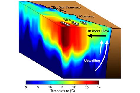 New Research Reveals Clearer Picture Of Upwelling That Feeds West Coast