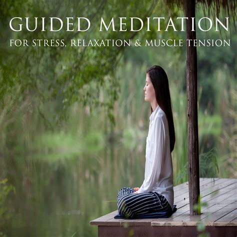 Guided Meditation X 2 Cds For Stress And Anxiety Relaxation Insomnia
