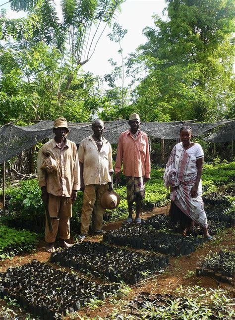 Les Comores Pays De Coopération Avsf