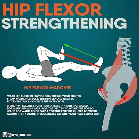 𝐇𝐈𝐏 𝐅𝐋𝐄𝐗𝐎𝐑 𝐒𝐓𝐑𝐄𝐍𝐆𝐓𝐇𝐄𝐍𝐈𝐍𝐆 Strengthen Hips Hip Flexor Exercises