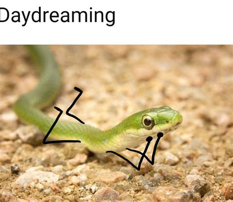 People On The Internet Are Doodling On Snake Pics And The Results Are