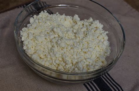 Easy Homemade Easy Farmers Cheese Recipe Recipe Momsdish