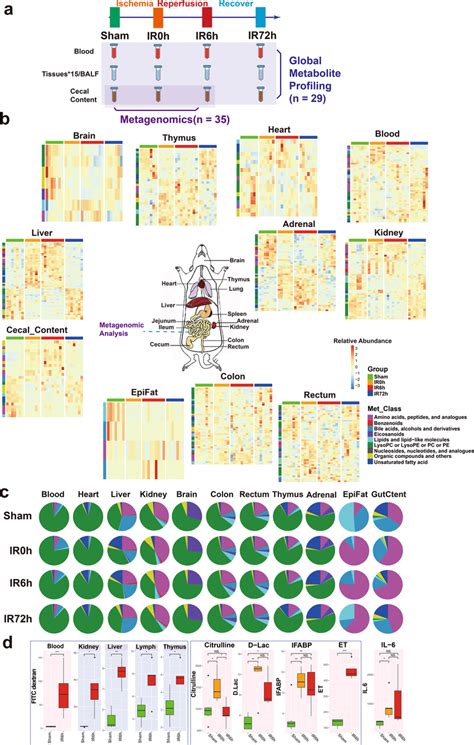 Combination Of Metagenomic Analysis And Global Metabolite Profiling Of