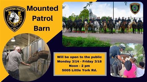 Visit The Hpd Mounted Patrol Barn During Spring Break