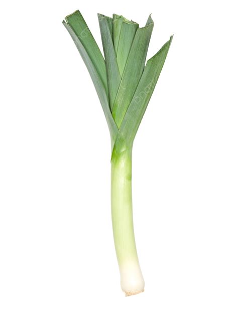 Emarbb Leeks: A Mystery Solved?