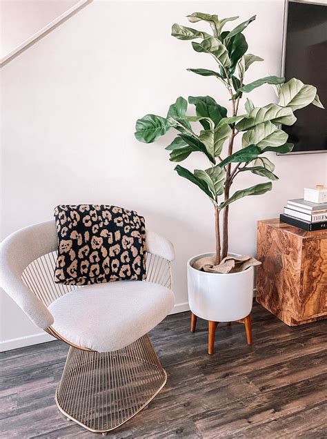 We did not find results for: Faux Fiddle Fig Leaf Tree | Fashion Jackson