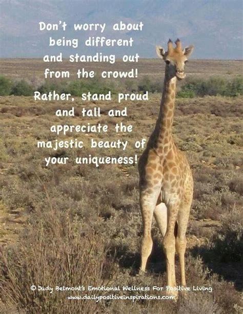 Giraffe Quotes Giraffe Facts Animal Quotes Fun Facts About Giraffes