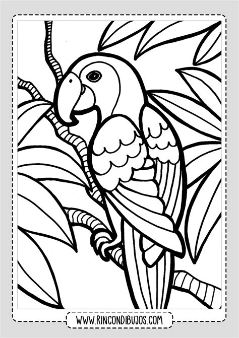 Dibujos de Pájaros para colorear | Imprimir y Colorear