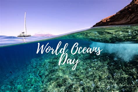 World Oceans Day Pabbler Blog