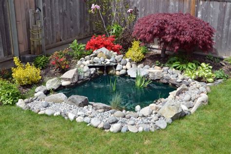 Clever Exterior Update Showing Different Fresh Fish Pond Designs Image