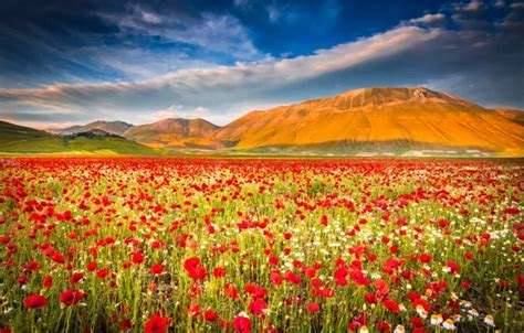 Wallpaper Field The Sky Mountains Maki Meadow Italy Italy Umbria