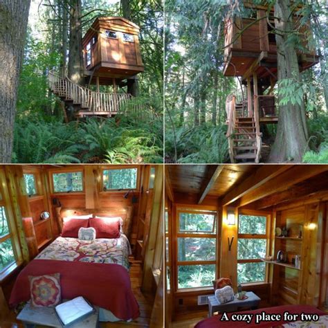 Tree Houses For Adults 17 Pics