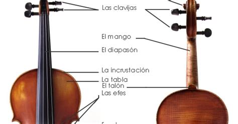 Musical GÁldar Partes De La Viola