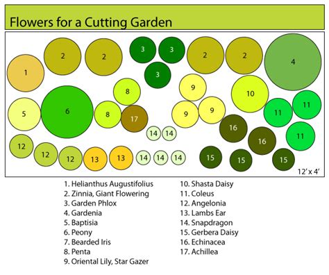 How To Plant A Cut Flower Garden Fairview Garden Center