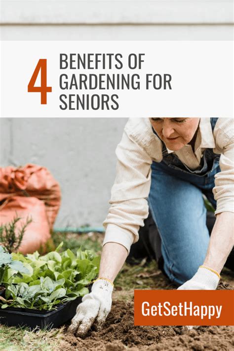 Top 4 Benefits Of Gardening For Seniors Getsethappy