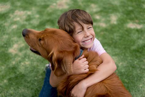 Crianças E Animais De Estimação Conheça Os Benefícios Dessa Relação