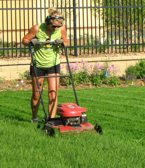 Summer Lawn Care Mowing Weeds And Water