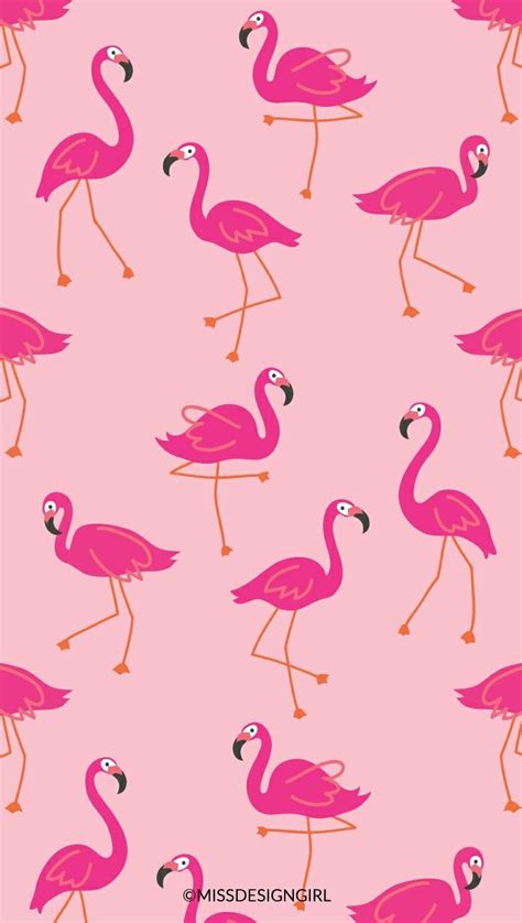 Pink Flamingo Wallpapers 4k Hd Pink Flamingo Backgrounds On Wallpaperbat