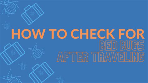 How To Check For Bed Bugs When Traveling Hanaposy