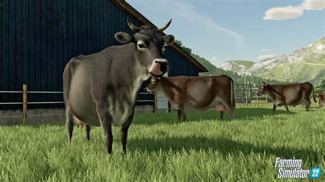 Nutz Und Wildtiere Trailer And Top 10 Der Gründe Für Viehzucht Auf