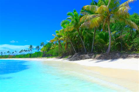 Tropical Paradise Relax Summer Dreamscape Turquoise