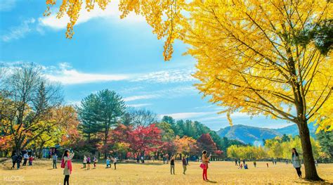 There are quite a few ways to get from seoul to nami island, and i got a bit confused while searching for the perfect way. Nami Island, Petite France, Garden of Morning Calm ...
