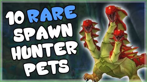 10 Rare and Unique Hunter Pets That AREN'T Spirit Beasts ...