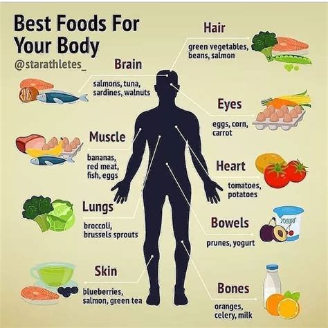 the healthy foodie🌱🥦🍗🥩 on instagram eating a balanced diet is vital for good health and