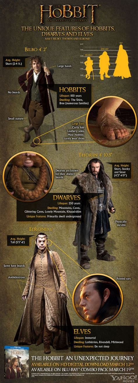 The Hobbit Exclusive Infographic Stacks Up The Races Of Middle Earth