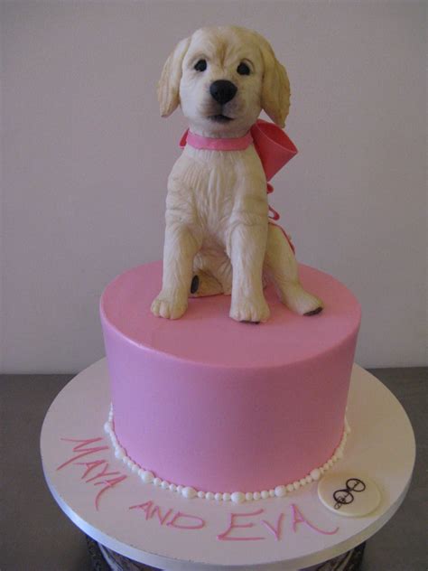 So Do You Think Eva Got Both This Cake And This Puppy For Her Birthday