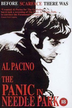 دانلود زیرنویس فیلم The Panic in Needle Park 1971 سابکده