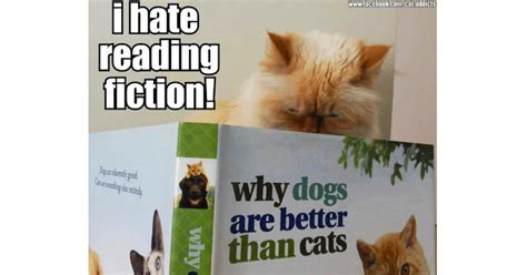 Dogs are more loyal no animal can be more loyal than dogs, your dog always follows you. 25 Memes Showing Cats Are Better Than Dogs. | Someecards Memes