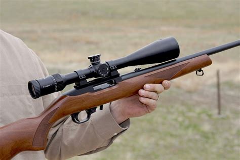 5 Things You Should Know About The 22 Rifle Best Home