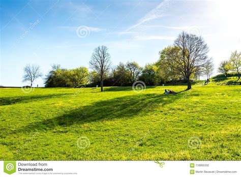 Meadow With Fresh Green Grass And Tree Resting People Near The Tree