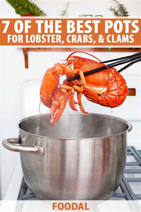 7 Of The Best Pots For Cooking Lobster Crab And Clams Foodal