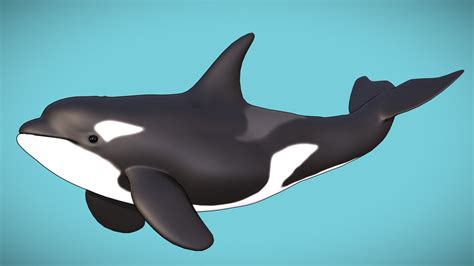 Tarafından Beğenme Belirsiz Killer Whale 3d Model Cesaretini Kır Fatura